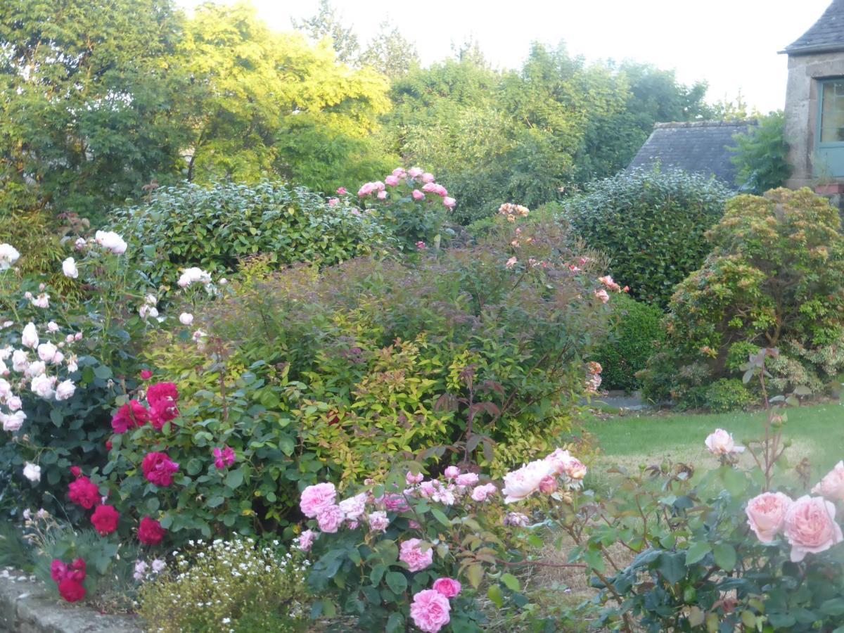 Ty Dreux Entre Terre Et * Saint-Thegonnec Loc-Eguiner